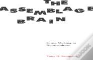 The Assemblage Brain