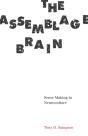 The Assemblage Brain - Preview