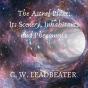 The Astral Plane: Its Scenery, Inhabitants And Phenomena - Preview