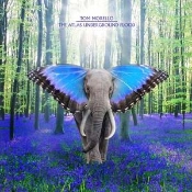 Capa do artigo The Atlas Underground Flood - CD