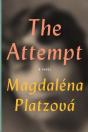 The Attempt - Preview
