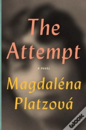 Capa do artigo The Attempt