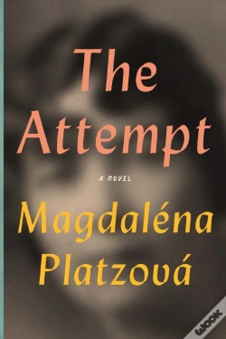 Capa do artigo The Attempt