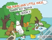 Capa do artigo The Audacious Little Duck