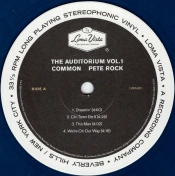 Capa do artigo The Auditorium Vol. 1 - Vinil