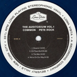 Capa do artigo The Auditorium Vol. 1 - Vinil