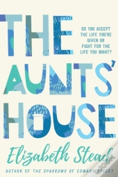 The Aunts' House