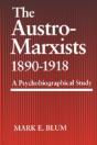 The Austro-Marxists 1890-1918: A Psychobiographical Study - Preview