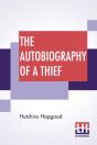 The Autobiography Of A Thief - Preview