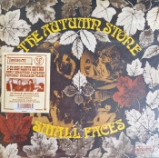 Capa do artigo The Autumn Stone - CD