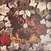 Capa do artigo The Autumn Stone - Vinil