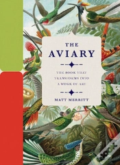 Capa do artigo The Aviary