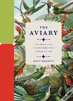 Capa do artigo The Aviary