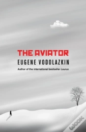 Capa do artigo The Aviator