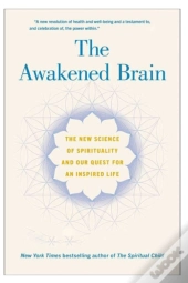 The Awakened Brain