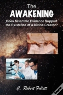 Capa do artigo The Awakening - Does Scientific Evidence Support The Existence Of A Divine Creator