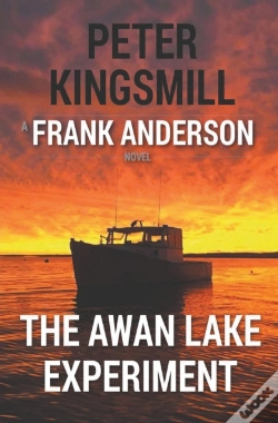 Capa do artigo The Awan Lake Experiment
