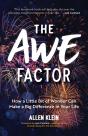 The Awe Factor - Preview