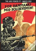 The Axis Forces 17