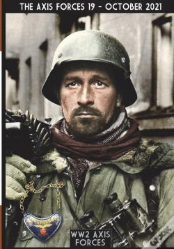 Capa do artigo The Axis Forces 19
