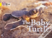 Capa do artigo The Baby Turtle