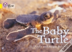 Capa do artigo The Baby Turtle
