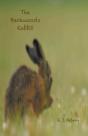 The Backwoods Rabbit - Preview