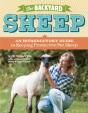 The Backyard Sheep - Preview