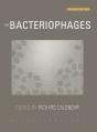 The Bacteriophages - Preview