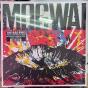The Bad Fire - Vinil - Preview