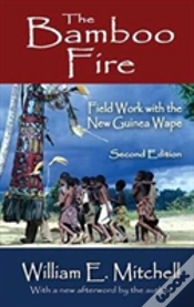 Capa do artigo The Bamboo Fire