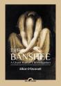 The Banshee: A Ghost Hunter'S Investigation - Preview