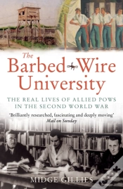 Capa do artigo The Barbed-Wire University