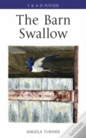 The Barn Swallow