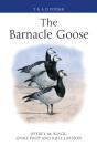 The Barnacle Goose - Preview