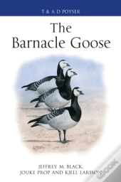 The Barnacle Goose