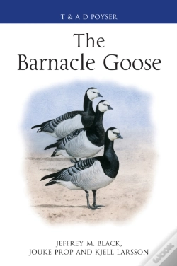 Capa do artigo The Barnacle Goose