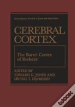 The Barrel Cortex Of Rodents