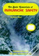 The Basic Essentials Of Avalanche Safety