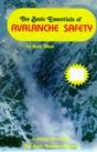 The Basic Essentials Of Avalanche Safety - Preview