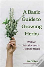 Capa do artigo The Basic Guide To Growing Herbs