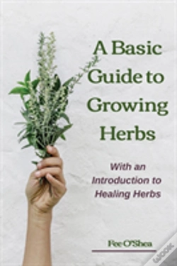 Capa do artigo The Basic Guide To Growing Herbs
