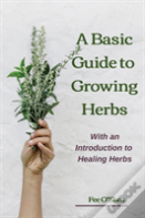 The Basic Guide To Growing Herbs