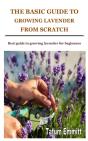 The Basic Guide To Growing Lavender From Scratch - Preview