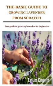 Capa do artigo The Basic Guide To Growing Lavender From Scratch