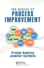 The Basics Of Process Improvement - Preview