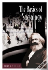 The Basics Of Sociology