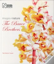 Capa do artigo The Bauer Brothers