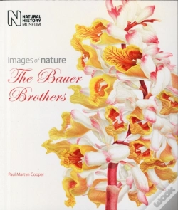 Capa do artigo The Bauer Brothers