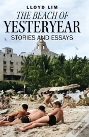 Capa do artigo The Beach Of Yesteryear